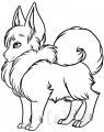 Bastien - OMFG FLUFFEH. 