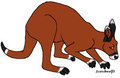 Kangaroo concept by Pandy