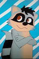 raccoon stile