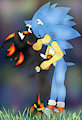Firefly Kisses