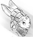 Random Sketch