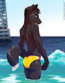 02-24-2018 by Shiuk