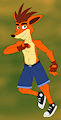 Crash Bandicoot