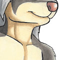 Comm: Dr Rags reference sheet