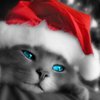 Master's Pet (NaNOWriMo Project)
