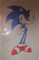 Sonic the Hedgehog