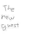 The New Guest 10