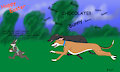 Bunny chase