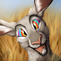 BoilerRoo Speedpaint
