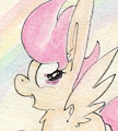 Scootaloo's Rainbow