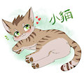 小猫❤️ by Sunnynoga