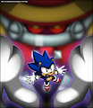 Little Blue Hedgehog