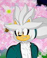 Spring Ponytail Silver!