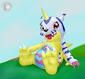 Gabu feet