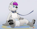 Nik - Leashed Pup Colours