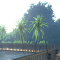 Island of Bunny - Landscape