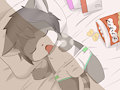 sleeping cat
