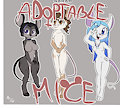 *ADOPTABLES*_Mice