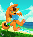 Frisbee