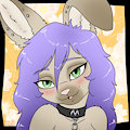 Silver the Sweet Pet