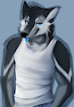 Furry Bust practice by ShadowD00dl3r