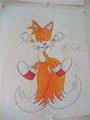 Tails the fox  by SonicBornAgain