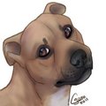 Commission - Baya Icon by LostWolfSpirit