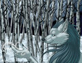 Aspen Wolf