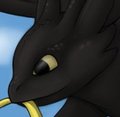 Gift of the Night Fury