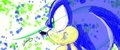 Sonic Muro