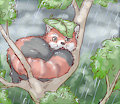 How to stay dry by lavilovi