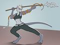 Weapons Training