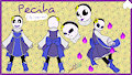 Commission - Pecita Ref Sheet