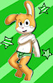 Gift: Soft Bunny