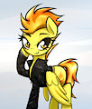 Spitfire jacket