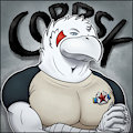 Corrsk's Avatar 2