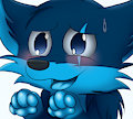 Cloufy Paws