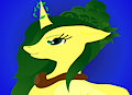 bloom bust