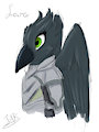 Leira Redesign
