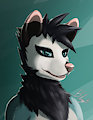 Possum Headshot