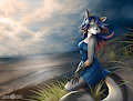 Commission for Icomeanon