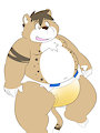 Border the Cougar