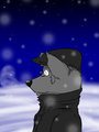 Winter is here! by shake