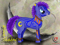 Moon Shadow by Fhang