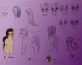 Pony reference sheet