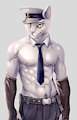 Bleakcat in navy uniform