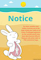 Island of Bunny - Poster