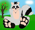 raccoon's paws