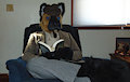 Nothing like a good book in the evening by ProfessorShepherd