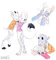 Kisses